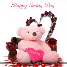 Teddy Day