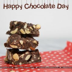 Chocolate Day – sexy happy valentines day