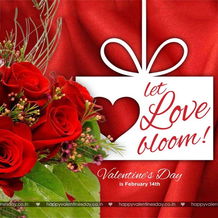 Valentine Day Messages – free online ecards