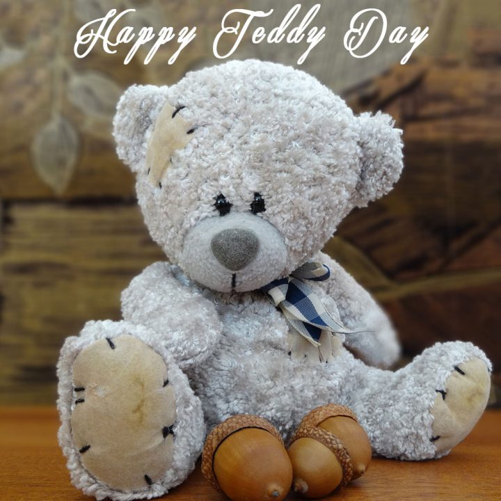 Teddy Day