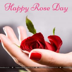 Rose Day – free ecards funny