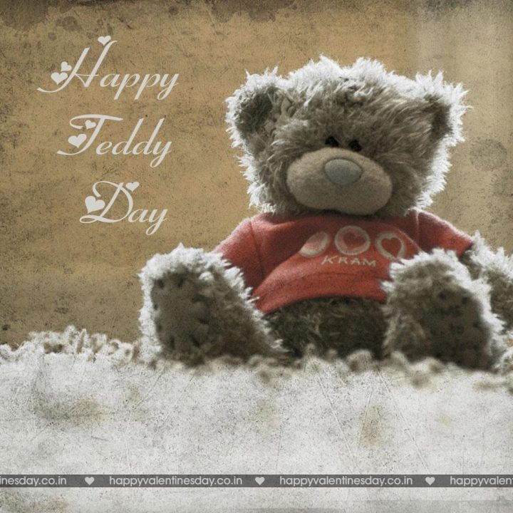 Teddy Day
