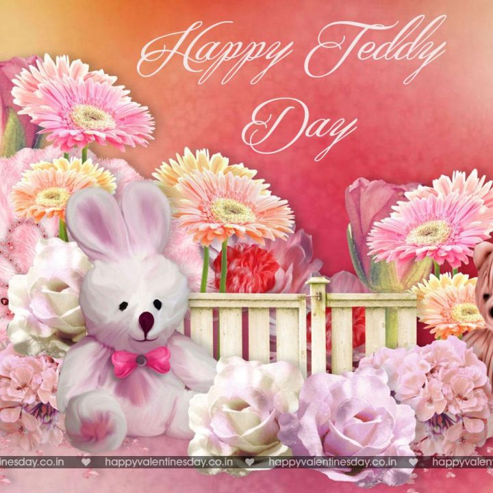 Teddy Day
