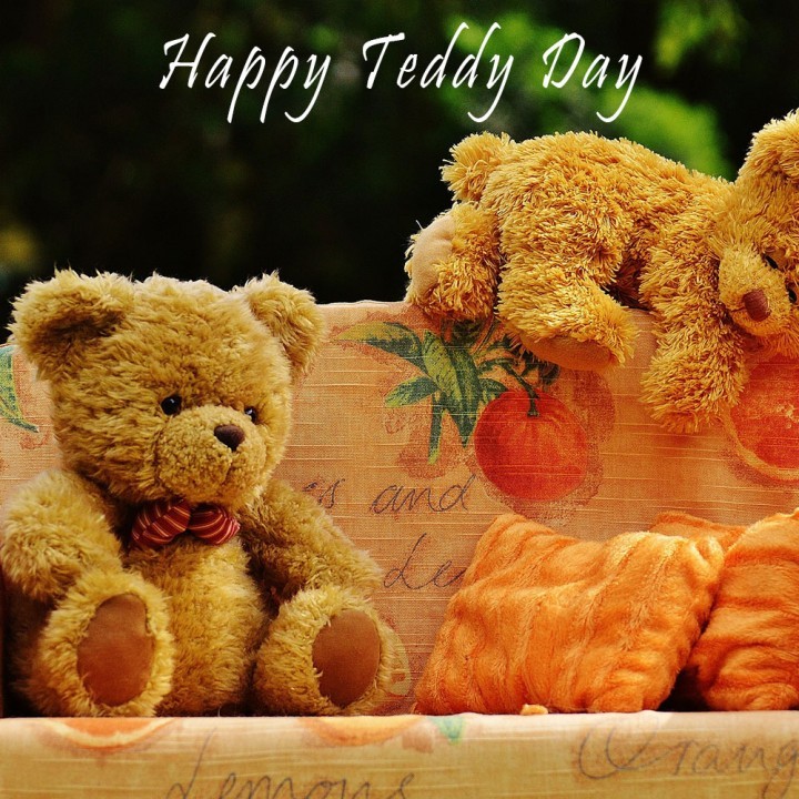 Teddy Day