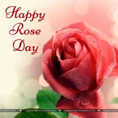 Rose Day – happy valentines card