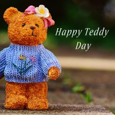 Teddy Day