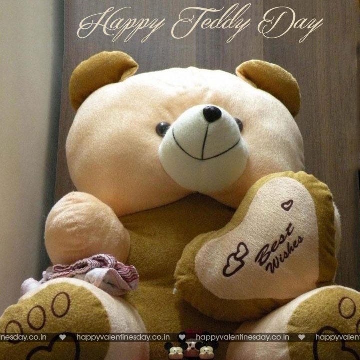 Teddy Day