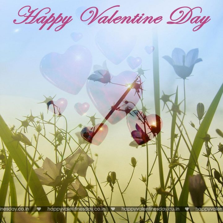 Valentine Day Messages