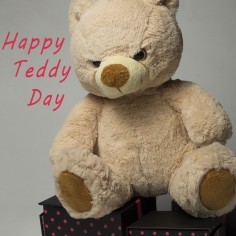 Teddy Day
