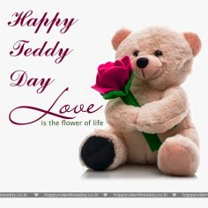Teddy Day – happy valentine day greetings