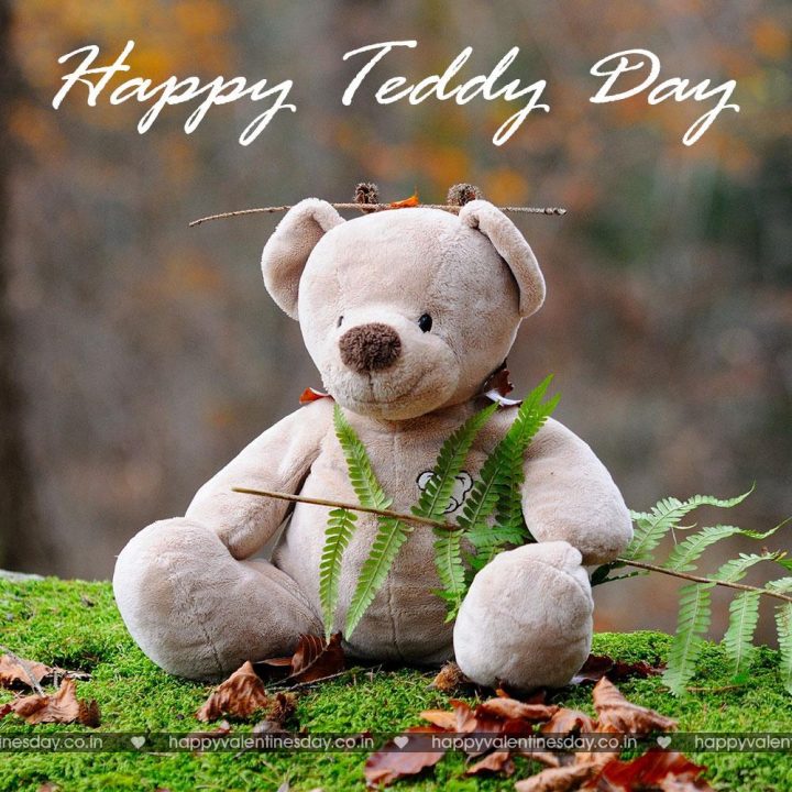 Teddy Day