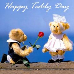 Teddy Day