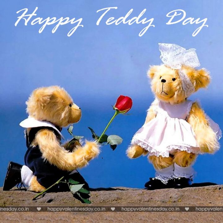 Teddy Day