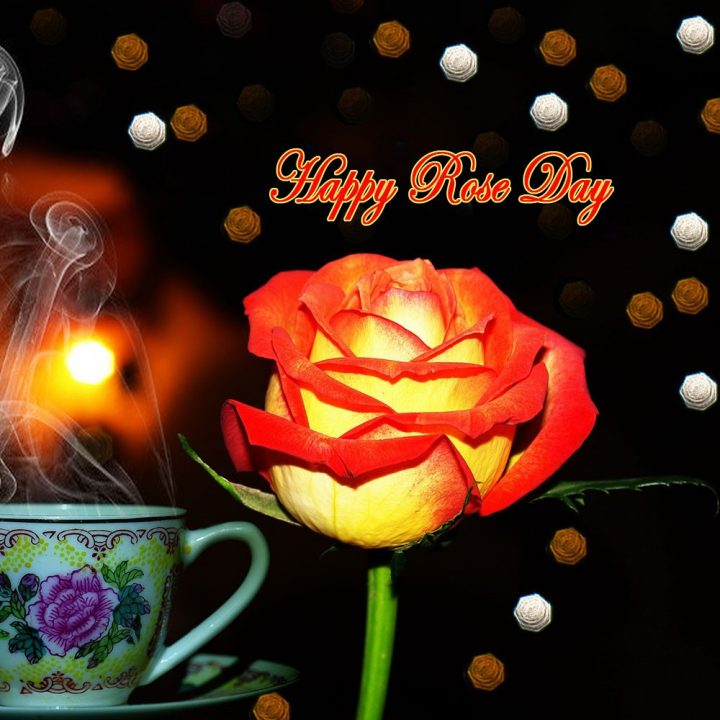Rose Day – happy valentines day cute