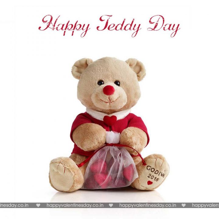 Teddy Day