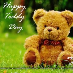 Teddy Day