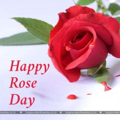 Rose Day