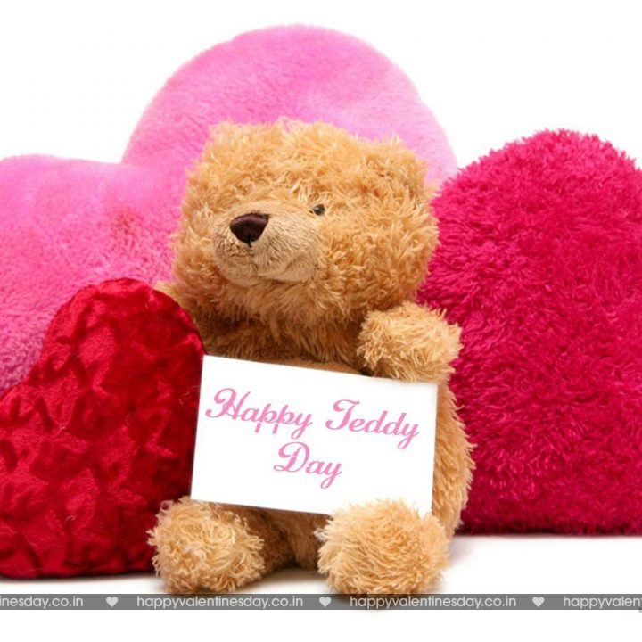Teddy Day