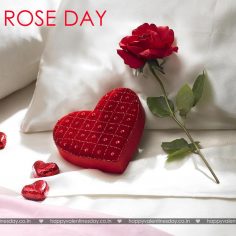 Rose Day – happy valentines day free images