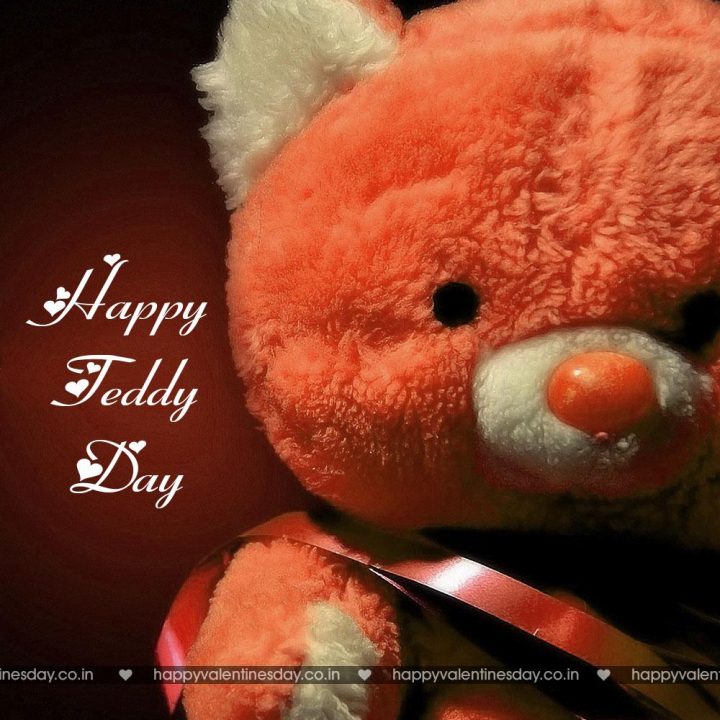 Teddy Day