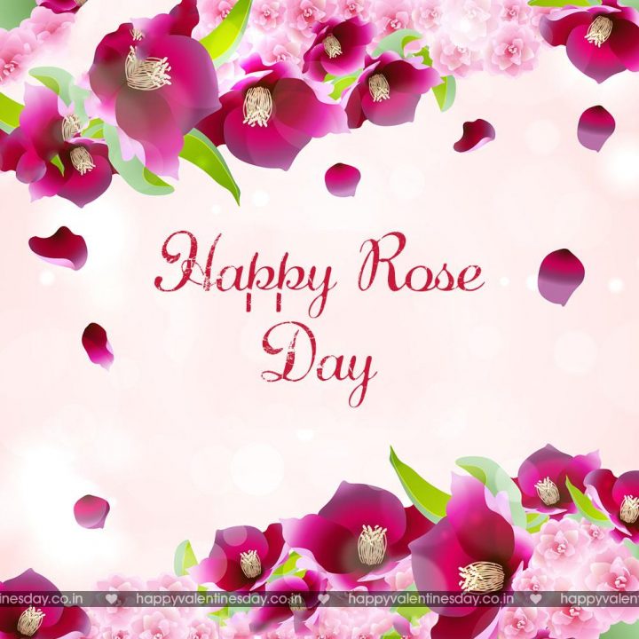 Rose Day – valentines day pictures images photos