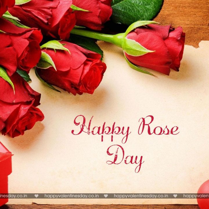 Rose Day – happy valentines day ideas
