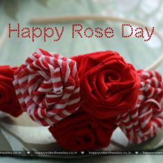 Rose Day – happy valentines day ideas