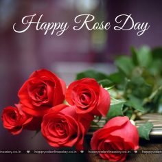 Rose Day – valentines day greeting cards
