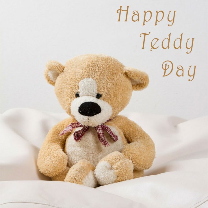 Teddy Day