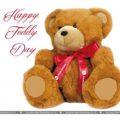Teddy Day