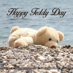 Teddy Day – happy valentines day e cards