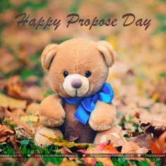 Teddy Day – happy valentines day free images