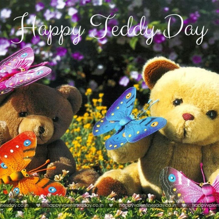 Teddy Day – valentines day greetings quotes