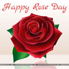 Rose Day – happy valentines day heart