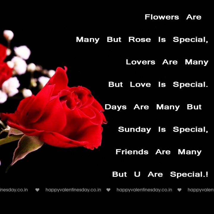 Love Messages – valentines day cards