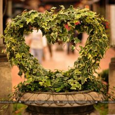 Love Messages – what is valentine day