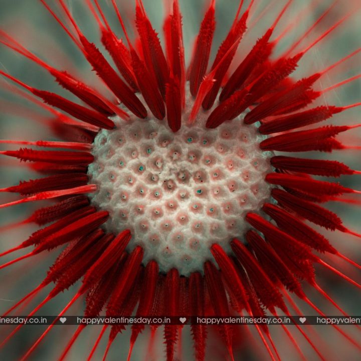 Love Messages – free greetings cards