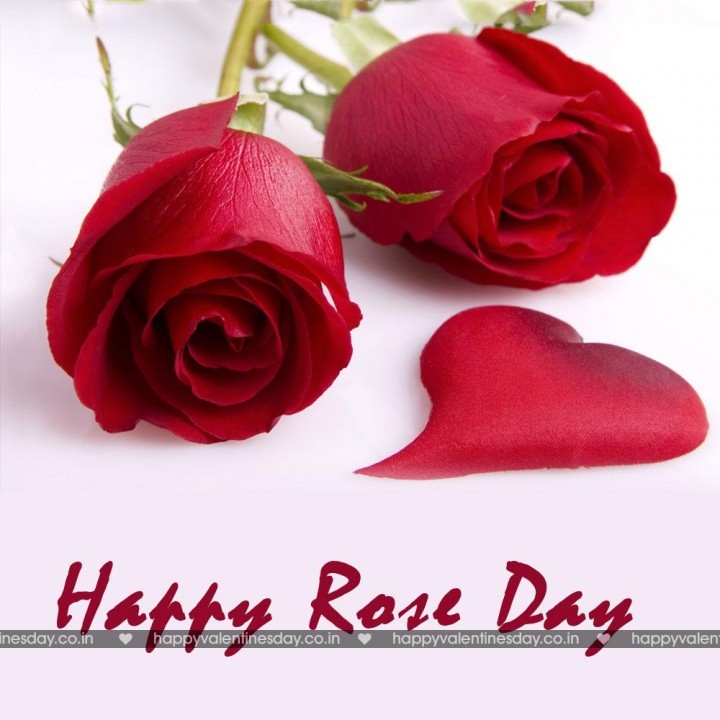 Rose Day