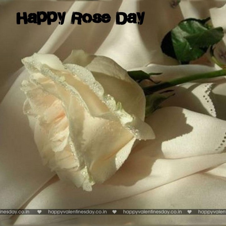 Rose Day – happy valentines day quotes for friends