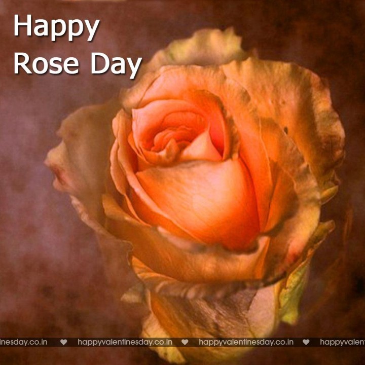 Rose Day – happy valentines day friend