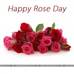 Rose Day