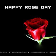 Rose Day – send free ecard