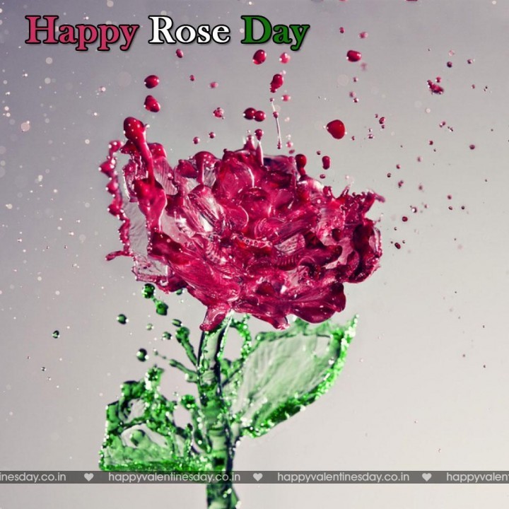 Rose Day
