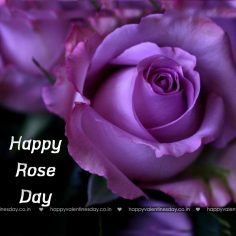 Rose Day