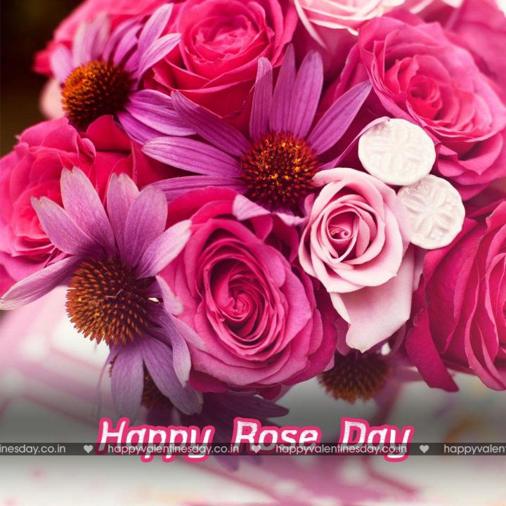 Rose Day