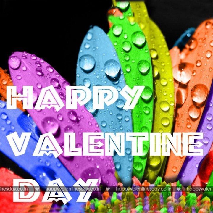 Happy valentines day status