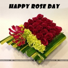 Rose Day