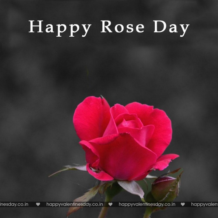 Rose Day – valentine cards