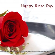 Rose Day – free online greeting cards