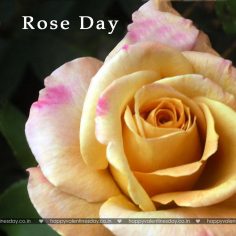 Rose Day – free egreetings